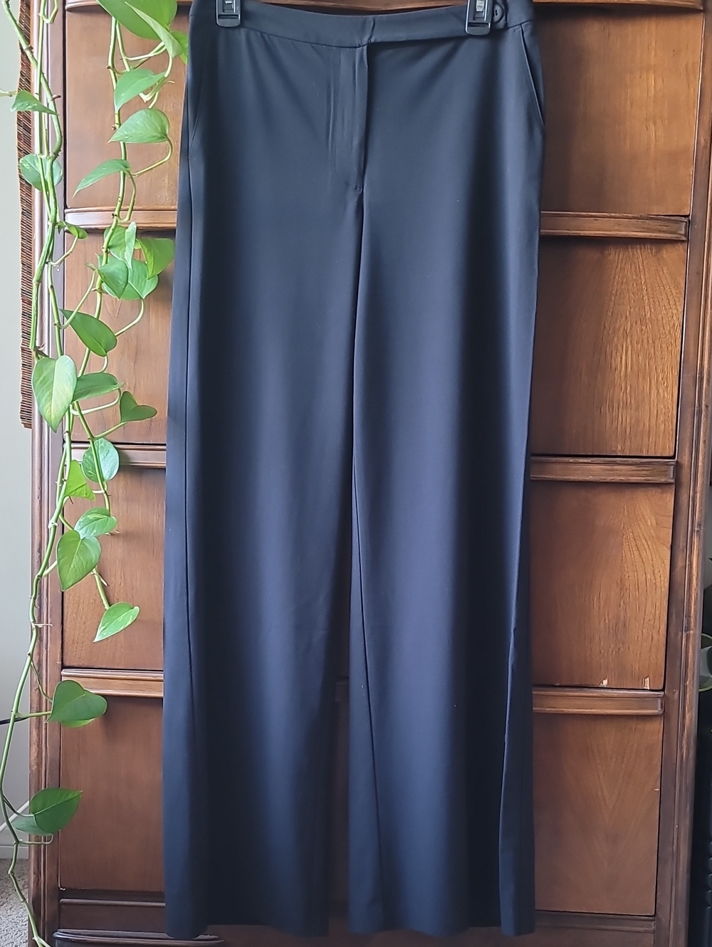 Express Minimalist Black Wide-Leg Women's Pants